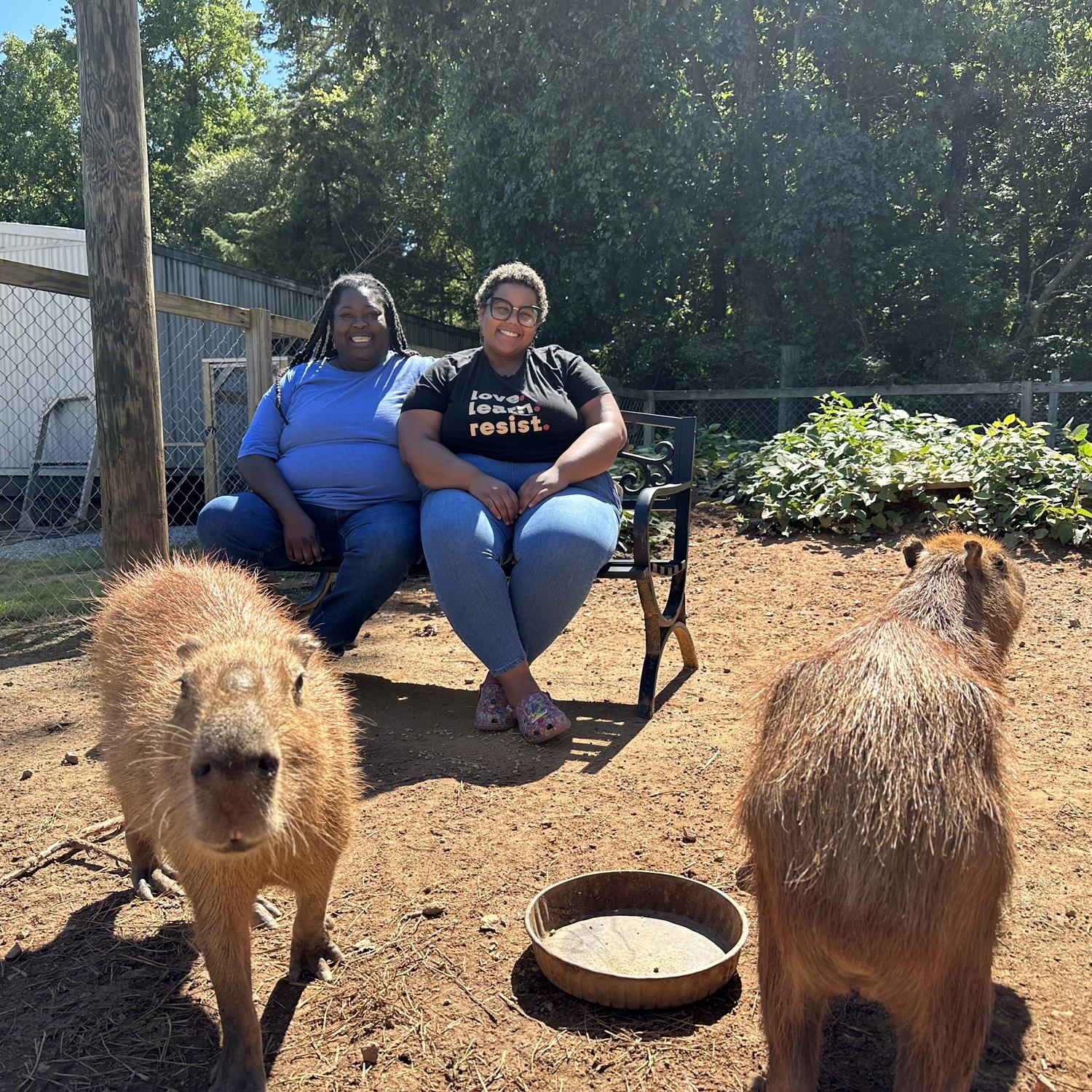 Courtney loves Capybaras!