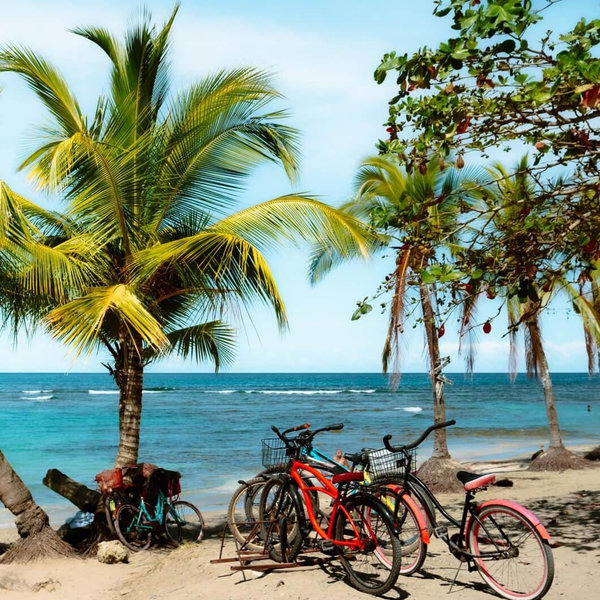 Bike Rental