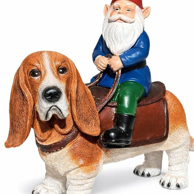 Funny Guy Mugs Gnome Riding A Basset Hound - Funny Garden Gnomes Gifts for Women - Garden Gnomes for Outdoors - Gifts for Dog Lovers - Indoor/Outdoor Garden Gnome Sculpture for Patio, Yard or Lawn