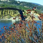 Lake Sonoma