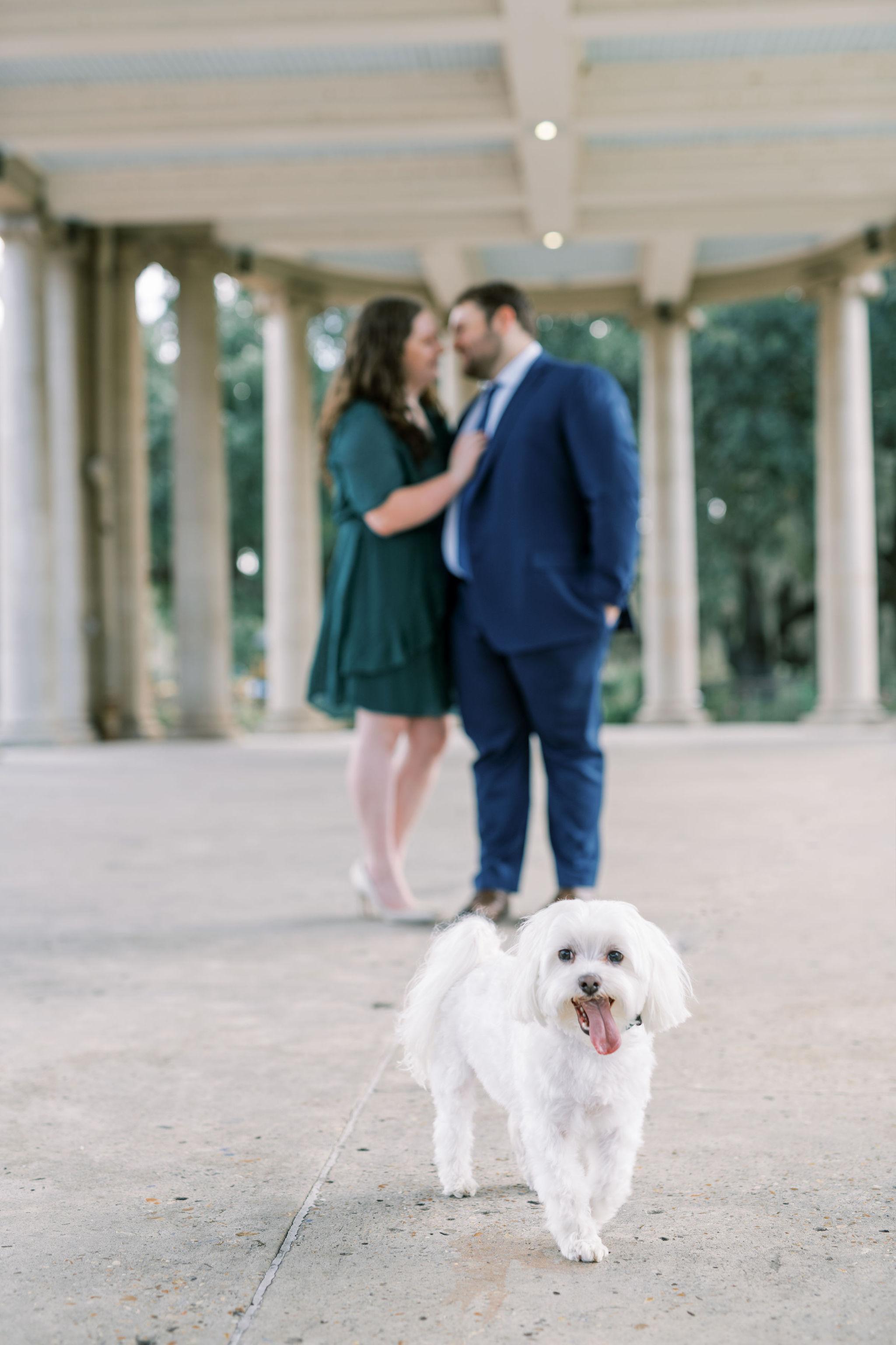 658dc445-8ff6-4d04-85c9-813ed19551e1