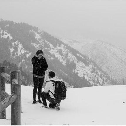 Our proposal (in a snow storm)!