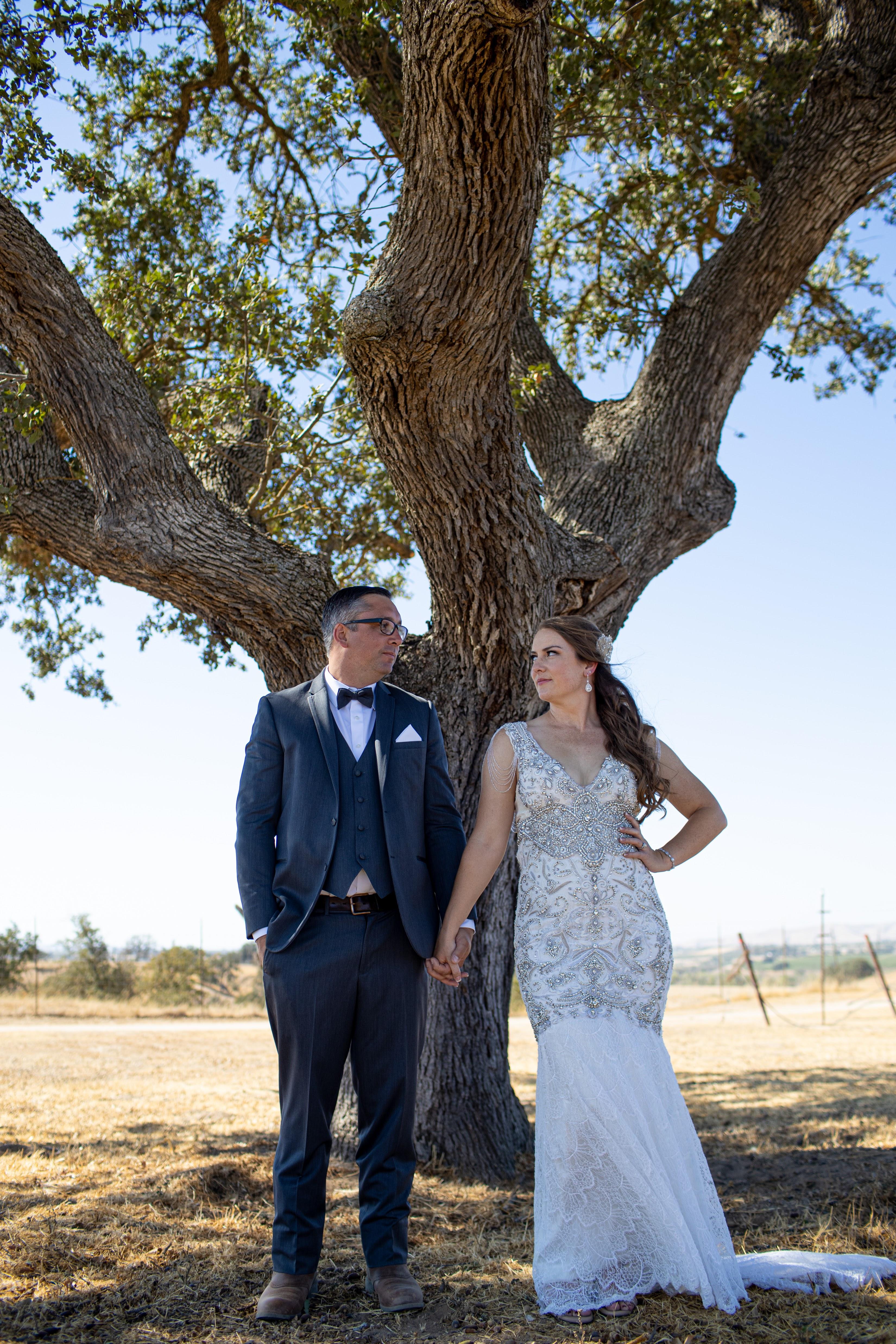 The Wedding Website of Peter Meyer and Elyse Mangan