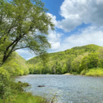 Greenbrier River Trail