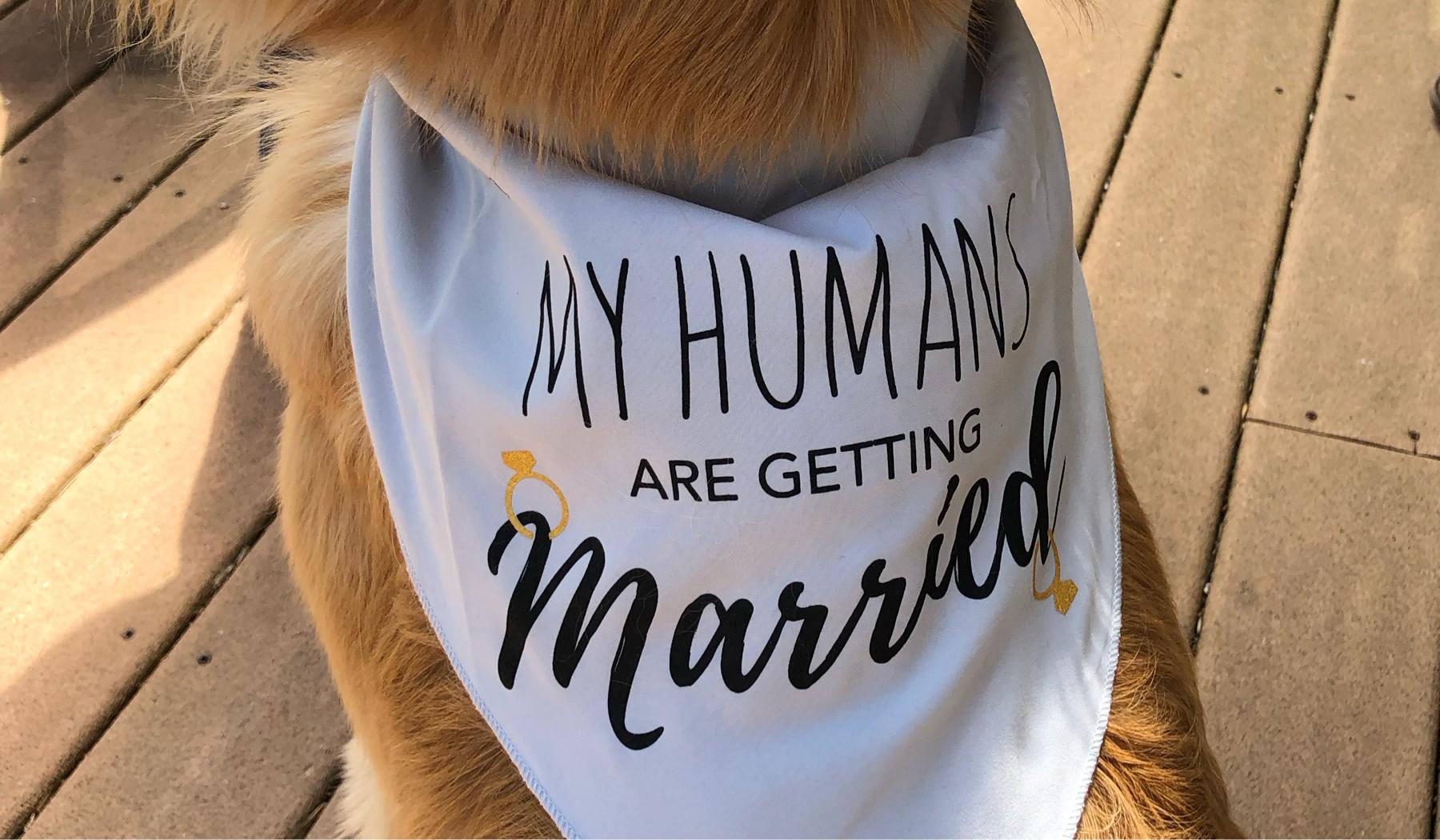 65906649-9644-47e4-99c8-acd4b447cad1