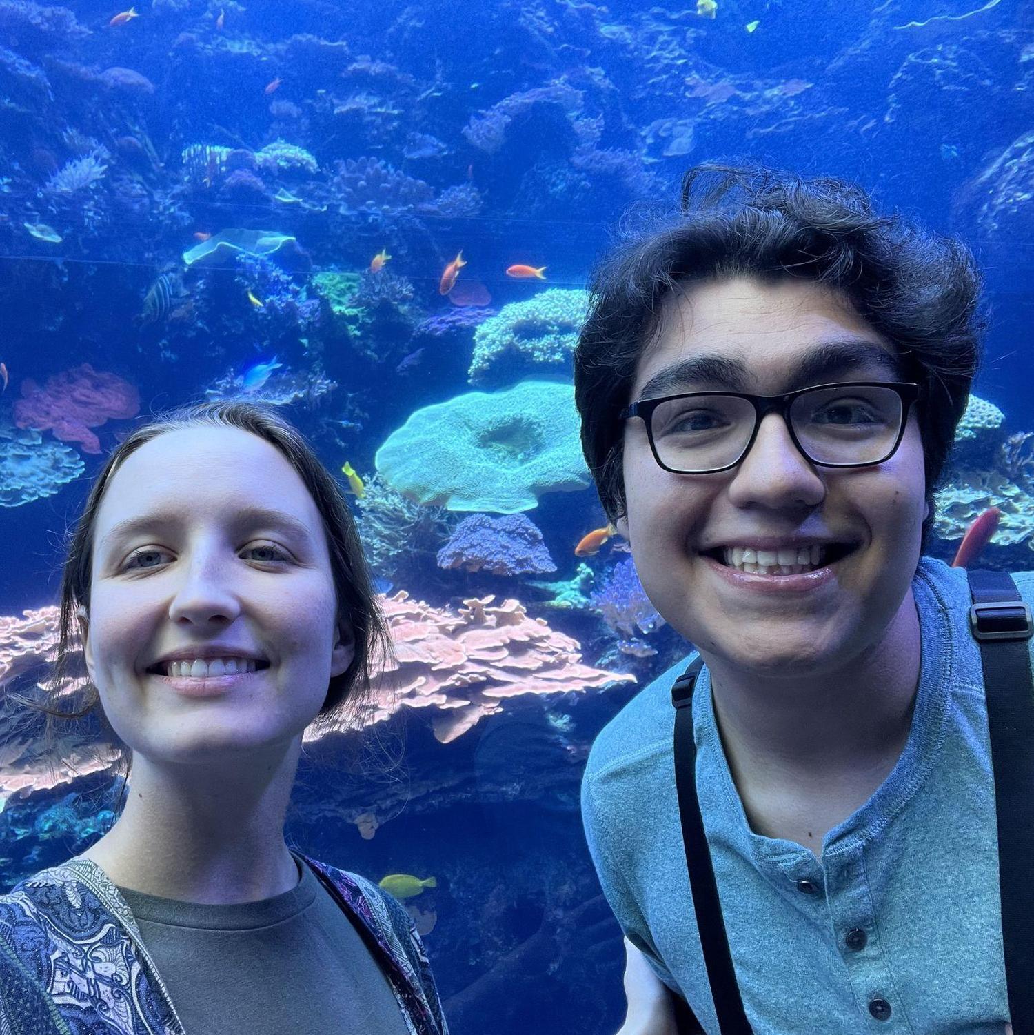 Georgia Aquarium!