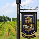 Gauthier Vineyard