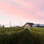 Newport Vineyards