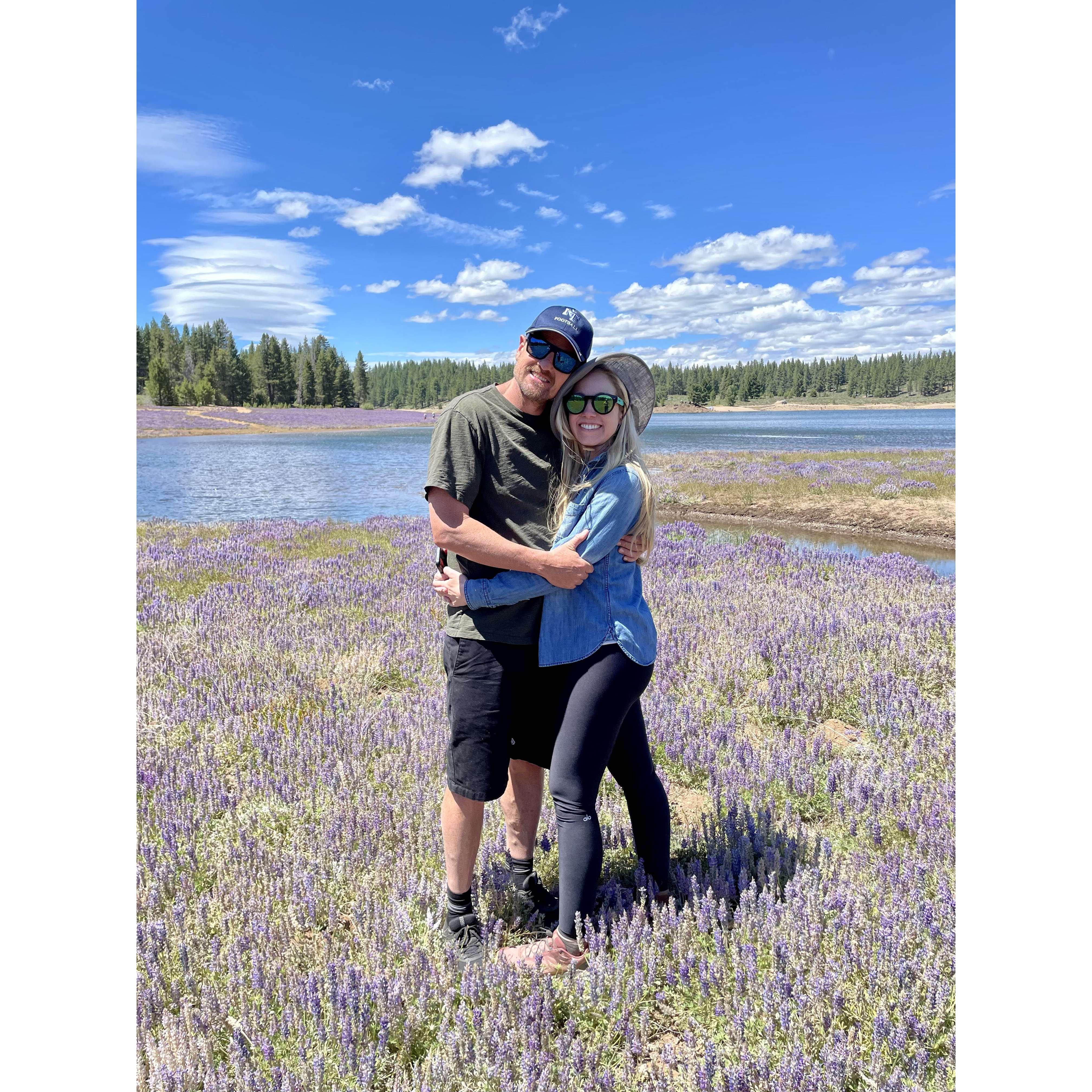 4th of July Lupins at Prossor Dam