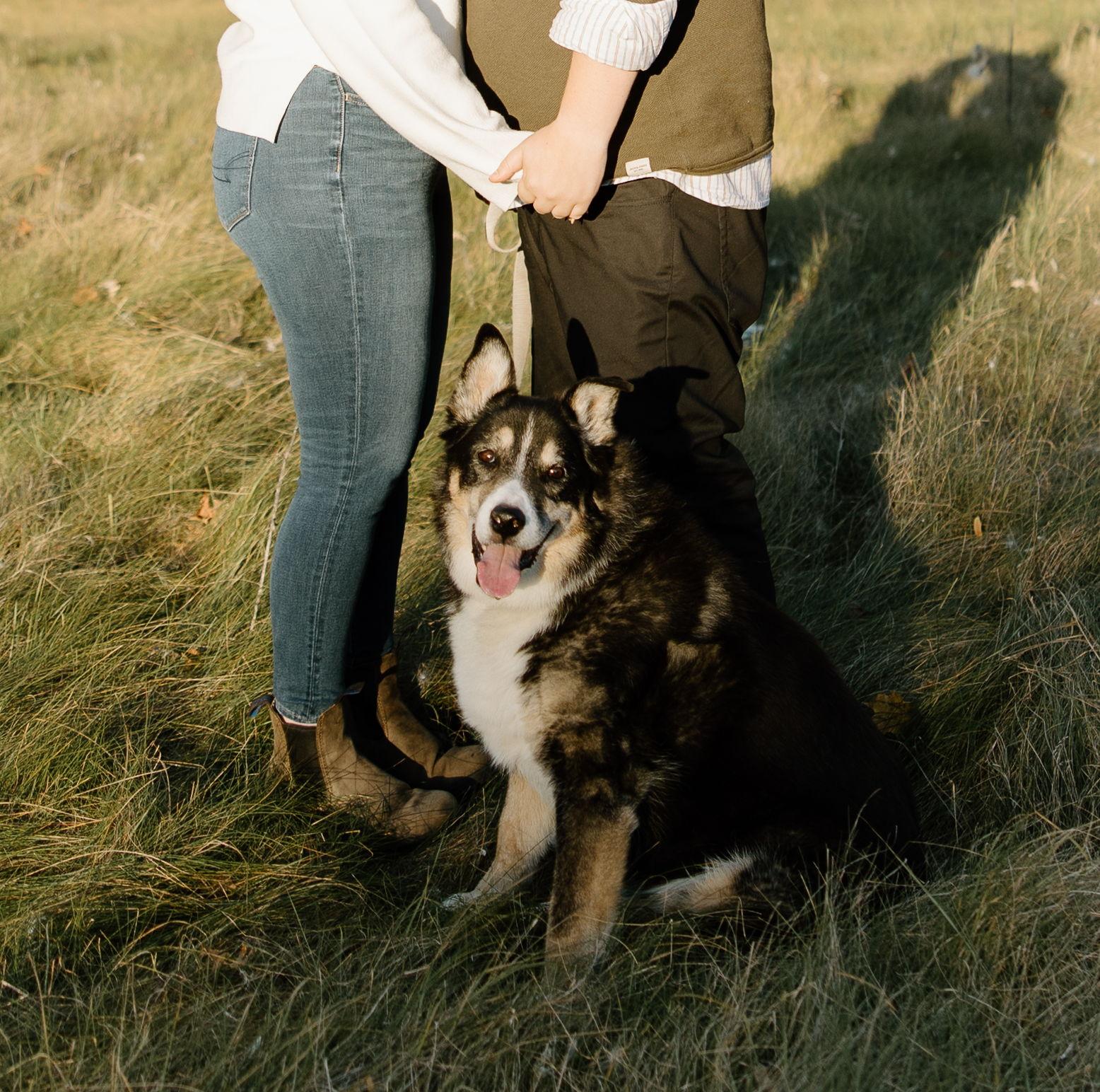 The Wedding Website of Nicole Clementino and Scott Paterson