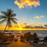 Tamarindo