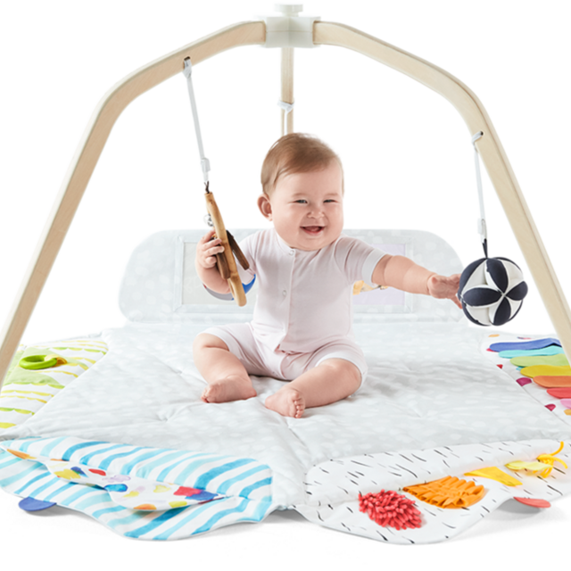 The Play Gym