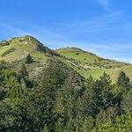 Windy Hill Open Space Preserve