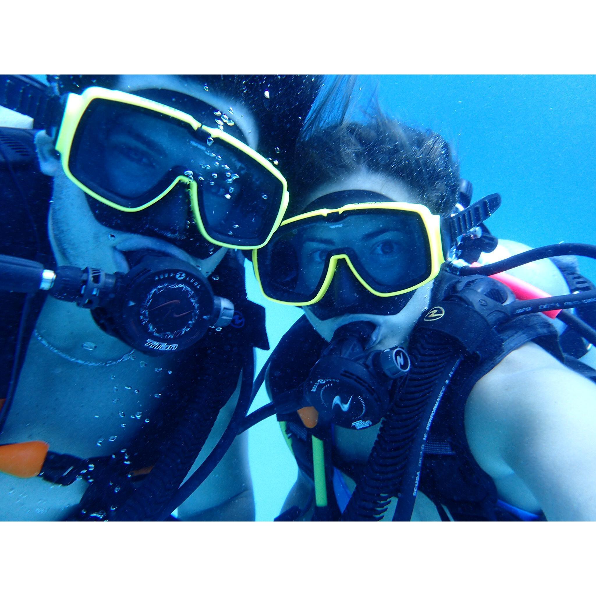 Diving escapades in the bahamas!