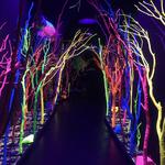 Meow Wolf Santa Fe
