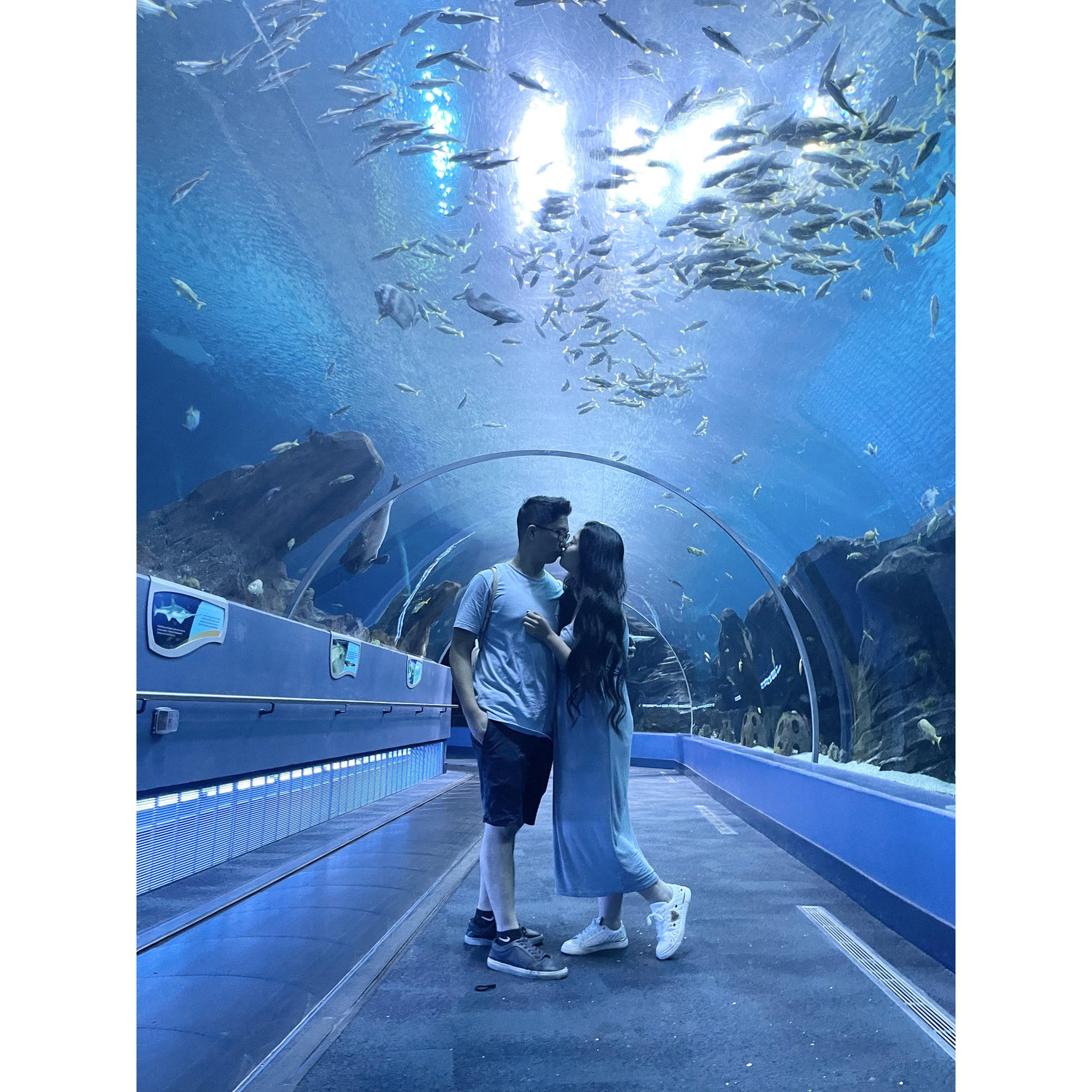 FIRST Atlanta, Georgia trip to the biggest aquarium in the U.S.! Its not random, its on my bucket list lol