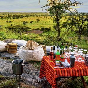 Luxury Bush Picnic with Chef Service