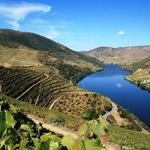 Douro River boat tour