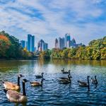 Piedmont Park
