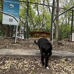 WFF's Cat Sanctuary
