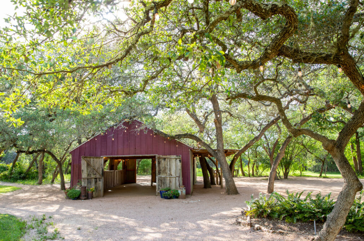 The Wedding Website of Sophia Del Rio and Alexander Denny