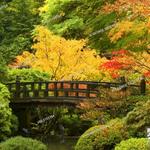 Washington Park