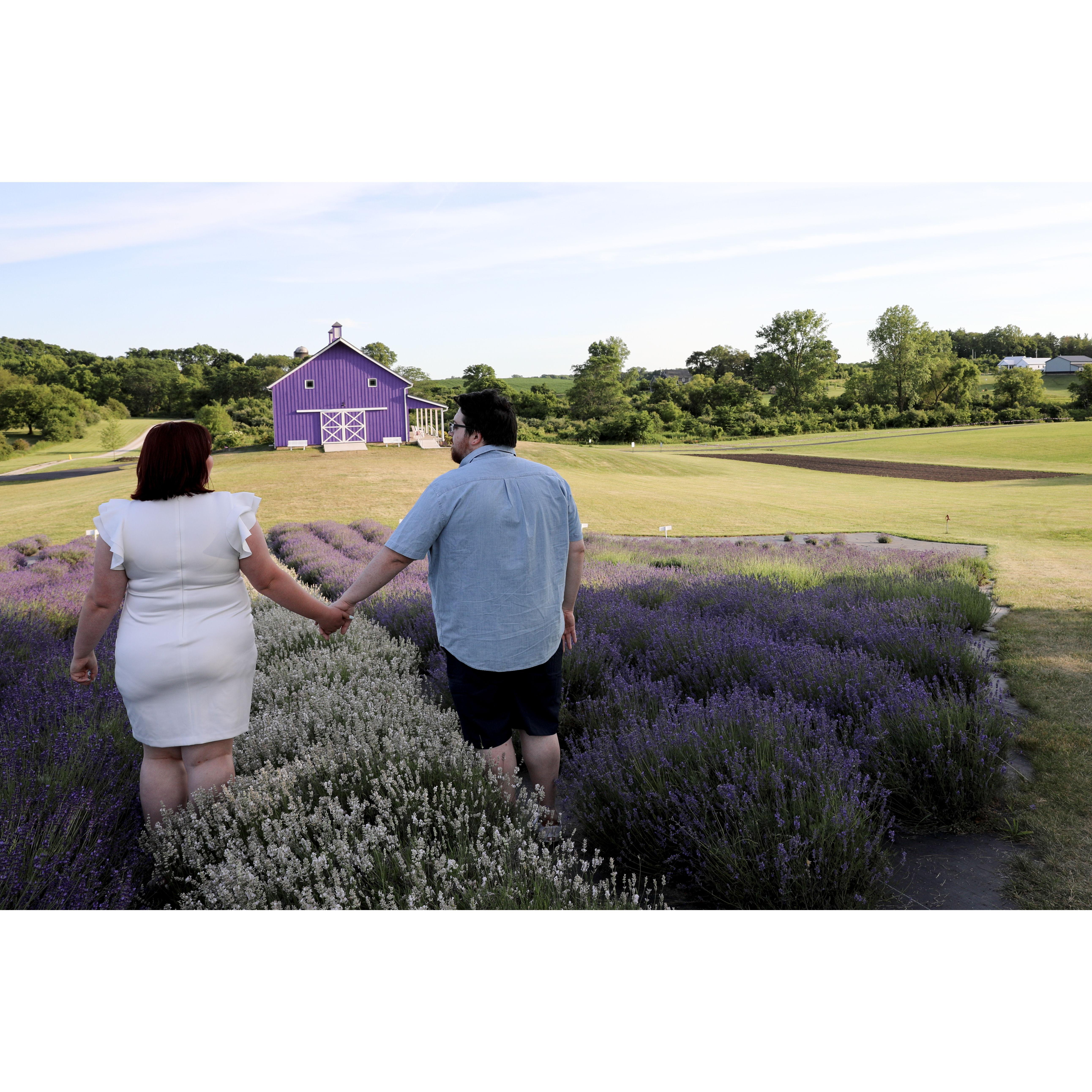 Engagement photoshoot at Sunset Ridge Lavender Farms. Photographer was Bloom Photography, LLC