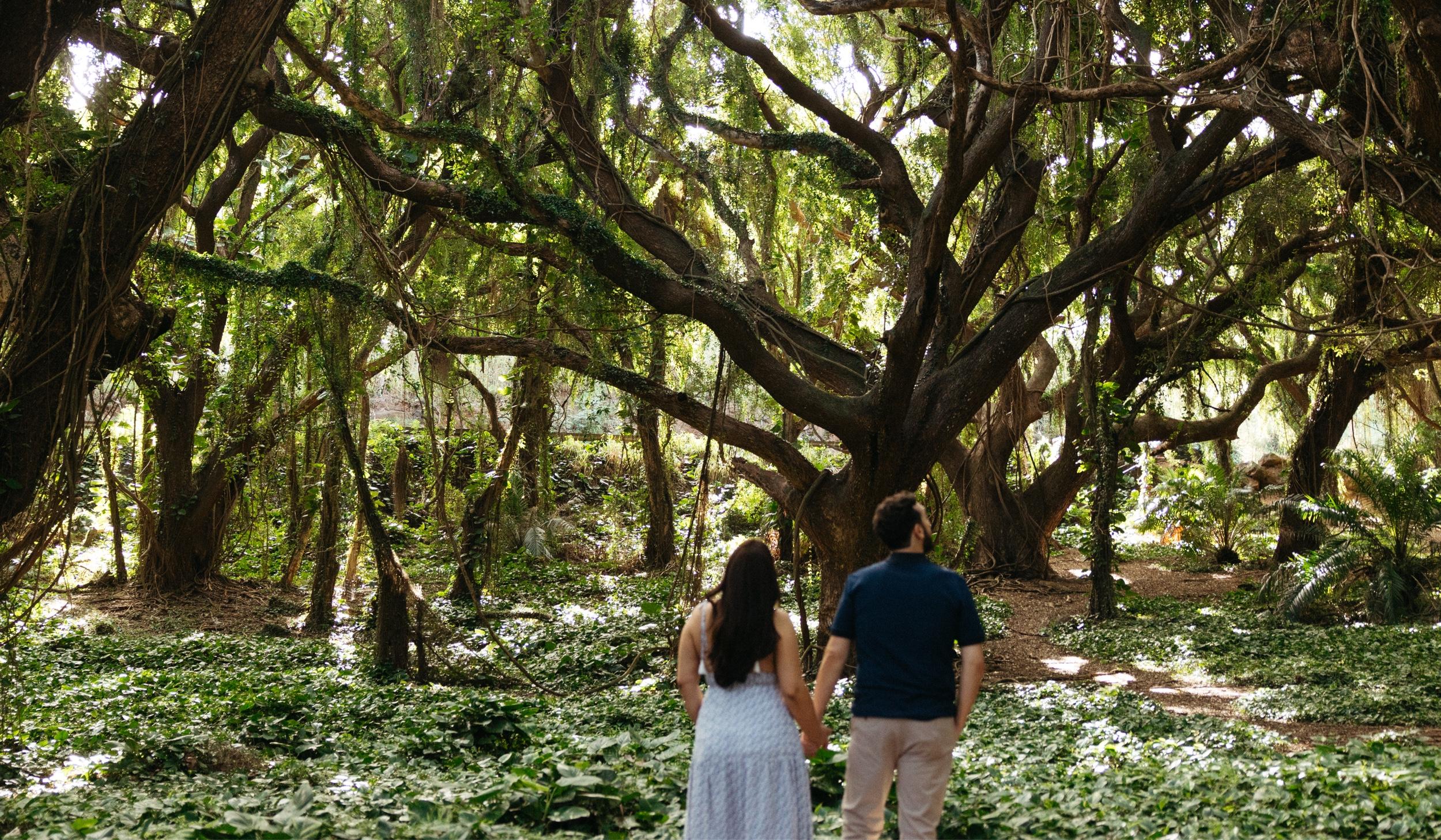 The Wedding Website of Sara Camarena and Zach Graf-Rice