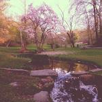 Valley Garden Park