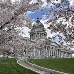 Utah State Capitol
