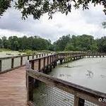 Cypress Wetlands