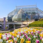 Phipps Conservatory and Botanical Gardens