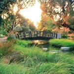 UC Davis Arboretum and Public Garden