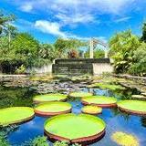Naples Botanical Garden