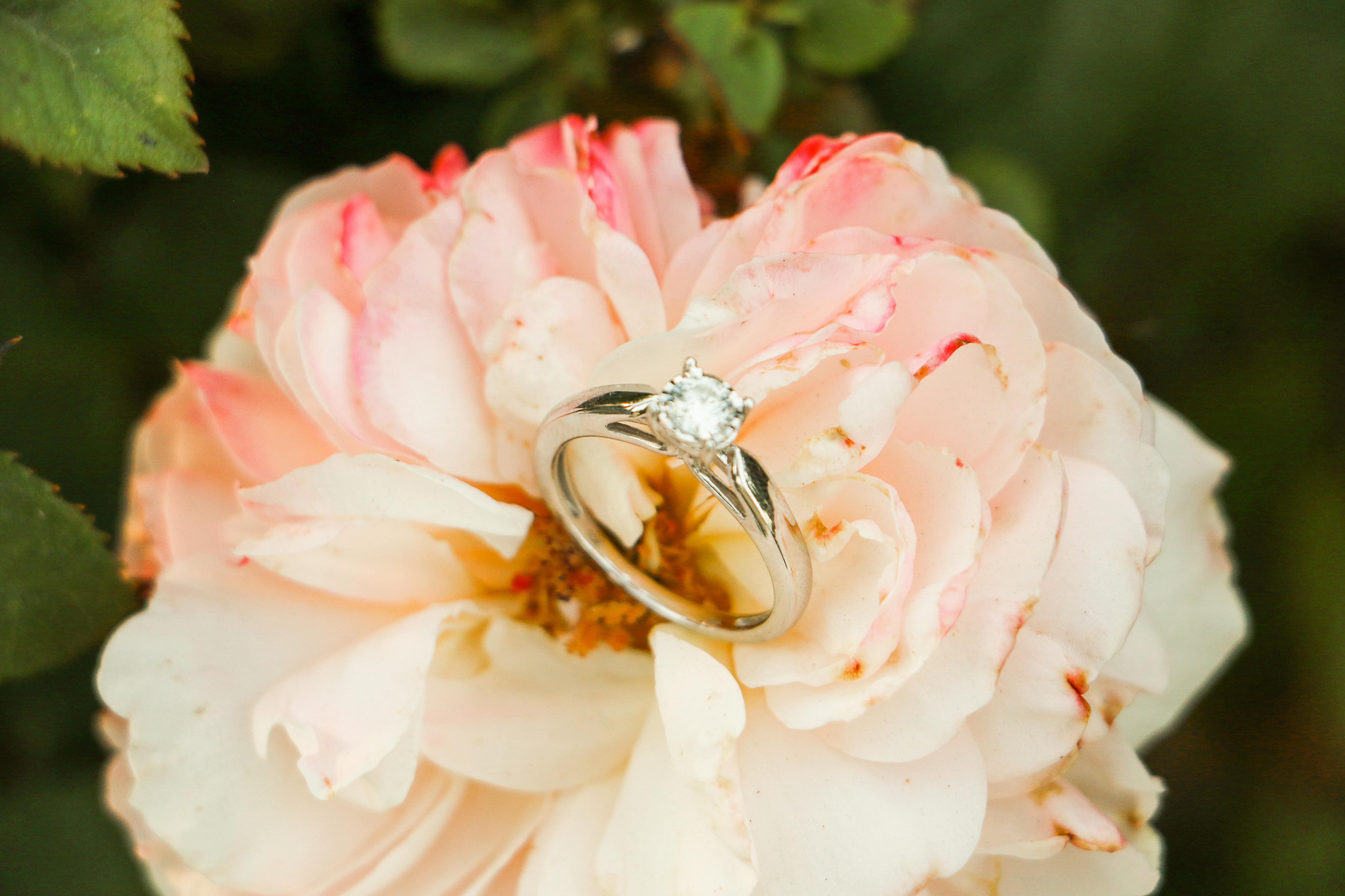 65b51a36-0d29-462c-a8fd-3a1bab82175d