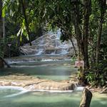 The World Famous Dunn's River Falls & Park