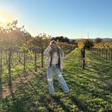 Perissos Vineyard and Winery