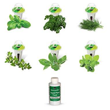 AeroGarden Gourmet Herb Seed Pod Kit (6 pod)