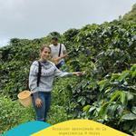 Experiencia Cafetera