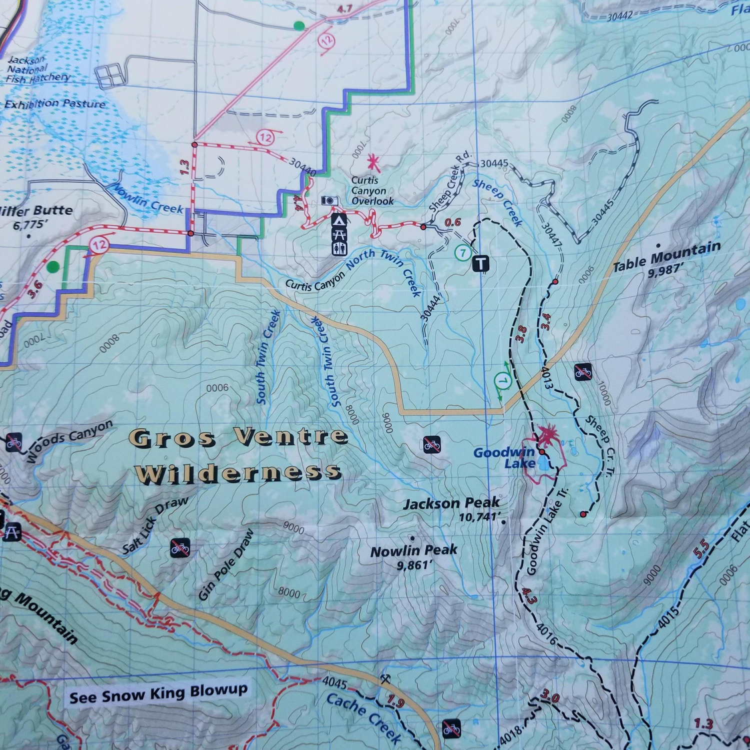 Shared: A fear of grizzly bears.
Location: Gros Ventre Wilderness, Wyoming