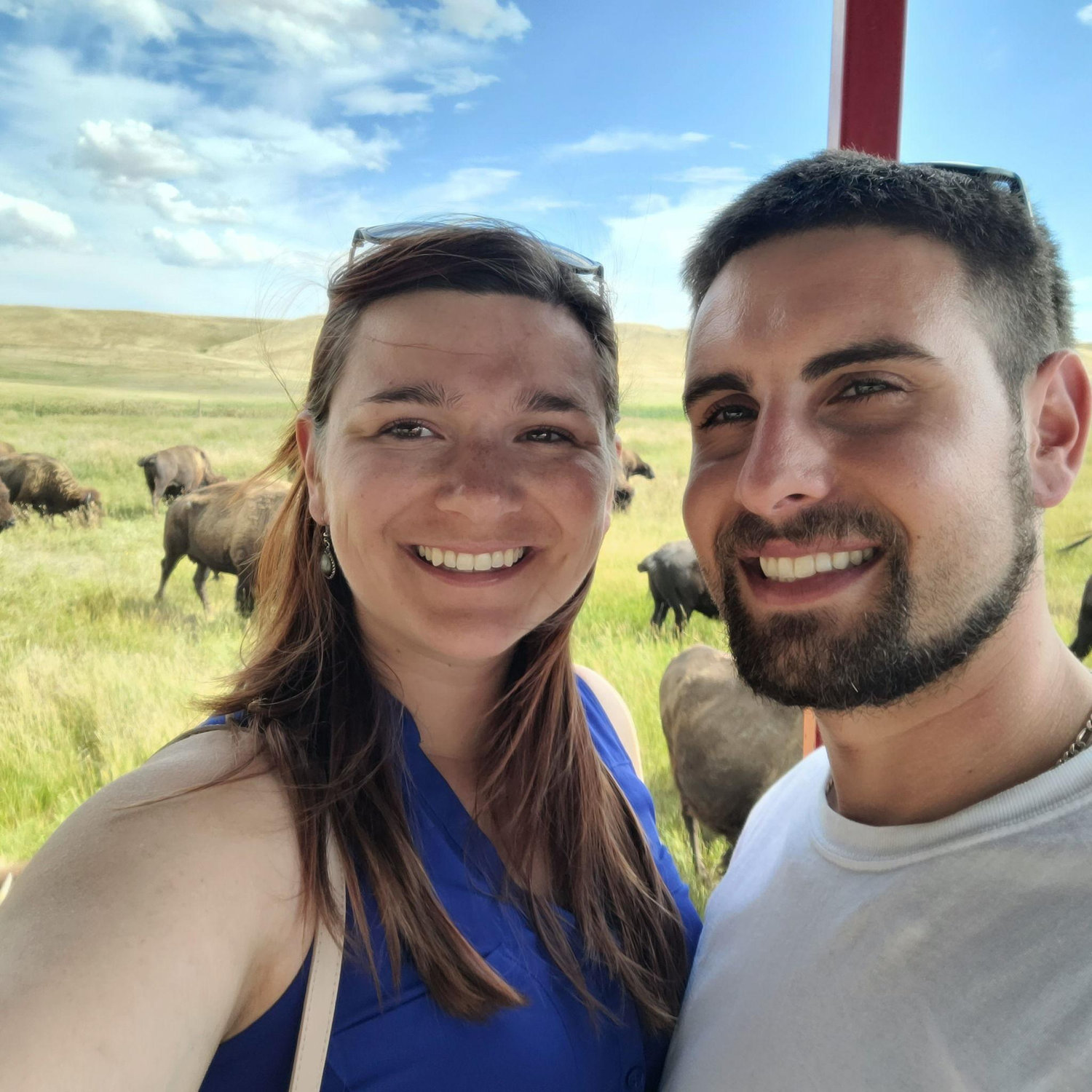 Oh where the buffalo roam...