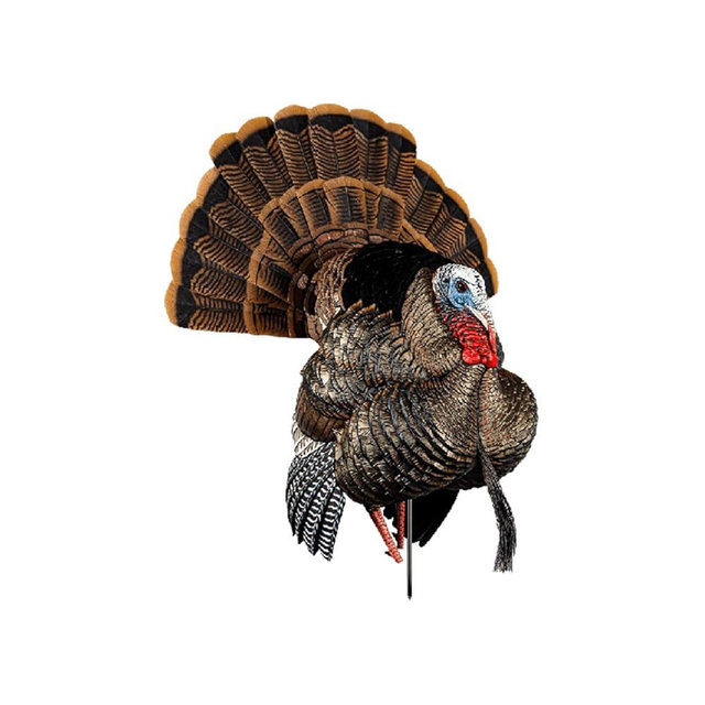 AVIAN-X HDR Strutter Turkey Decoy - Rugged Durable Realistic Lifelike Dominant Body Standing Hunting Decoy with 2 Removable Heads & Wings, Beard, Adjustable Tail Fan, Mounting Stake & Carry Bag