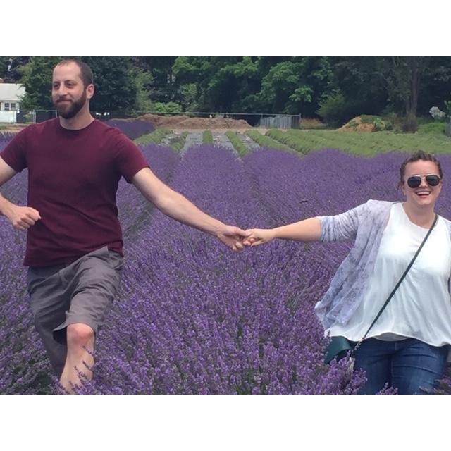 Lavender by the Bay 2016