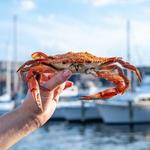 Captain James Seafood Palace
