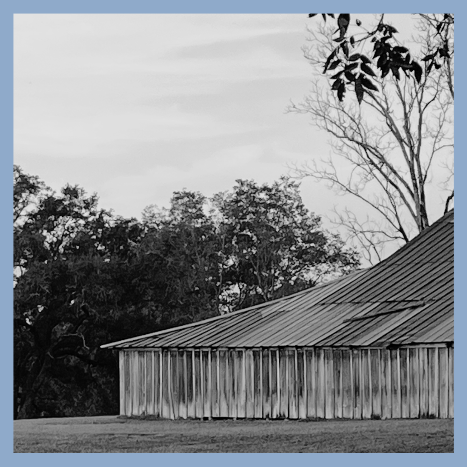 The Wedding Website of Andrew Leighton Warkentine and Carson Avery Chalmers