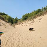 Grand Mere State Park