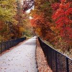 Swamp Rabbit trail