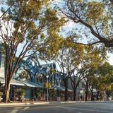 Coconut Grove