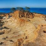 Torrey Pines State Reserve