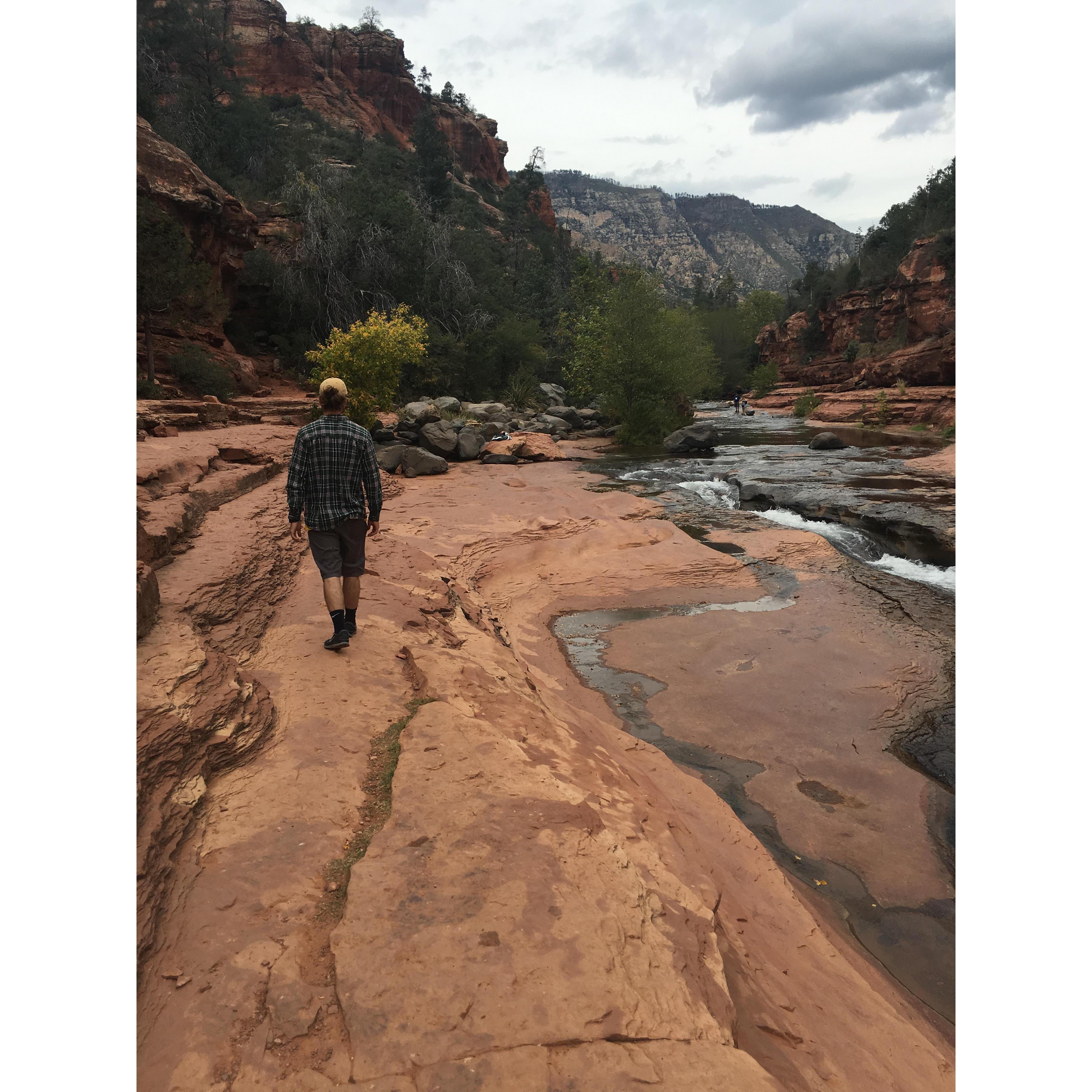 Arizona 2016